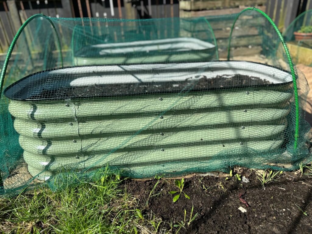 A green corrugated tall raised bed