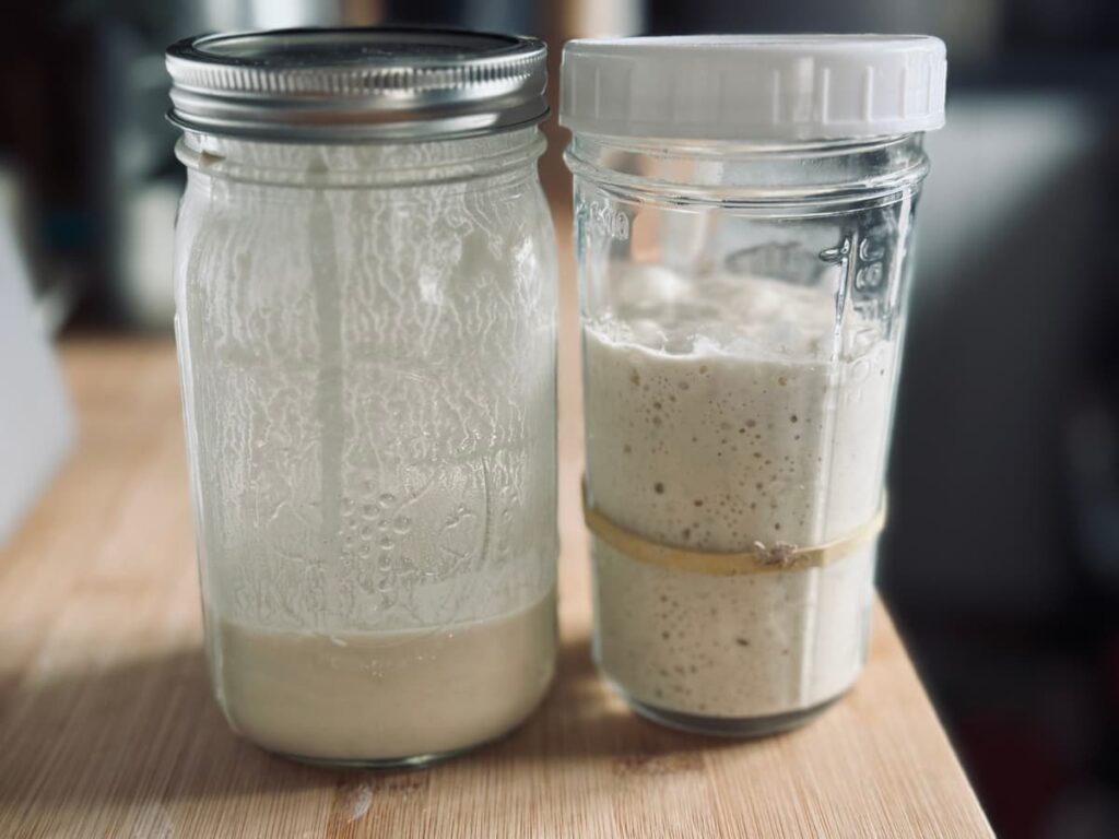 Sourdough starter and sourdough discard in jars