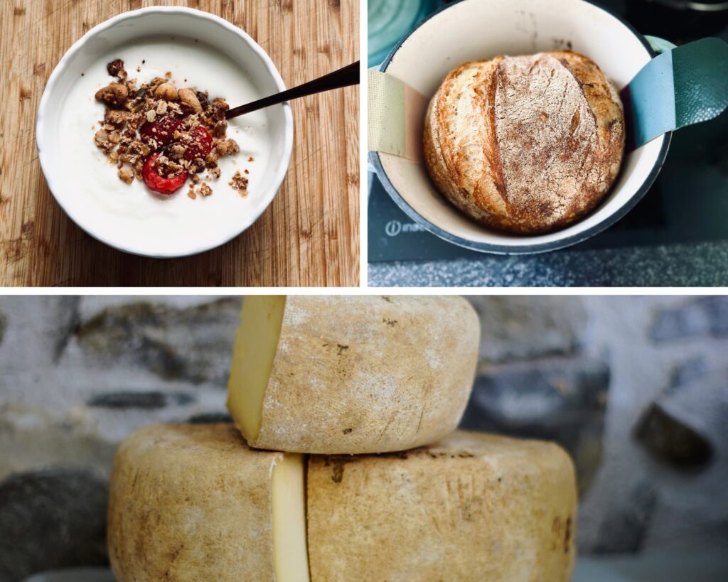 3 photos showing yogurt, bread, and cheese, showing fermented food