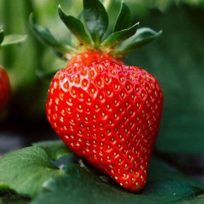 Ways to Preserve Strawberries