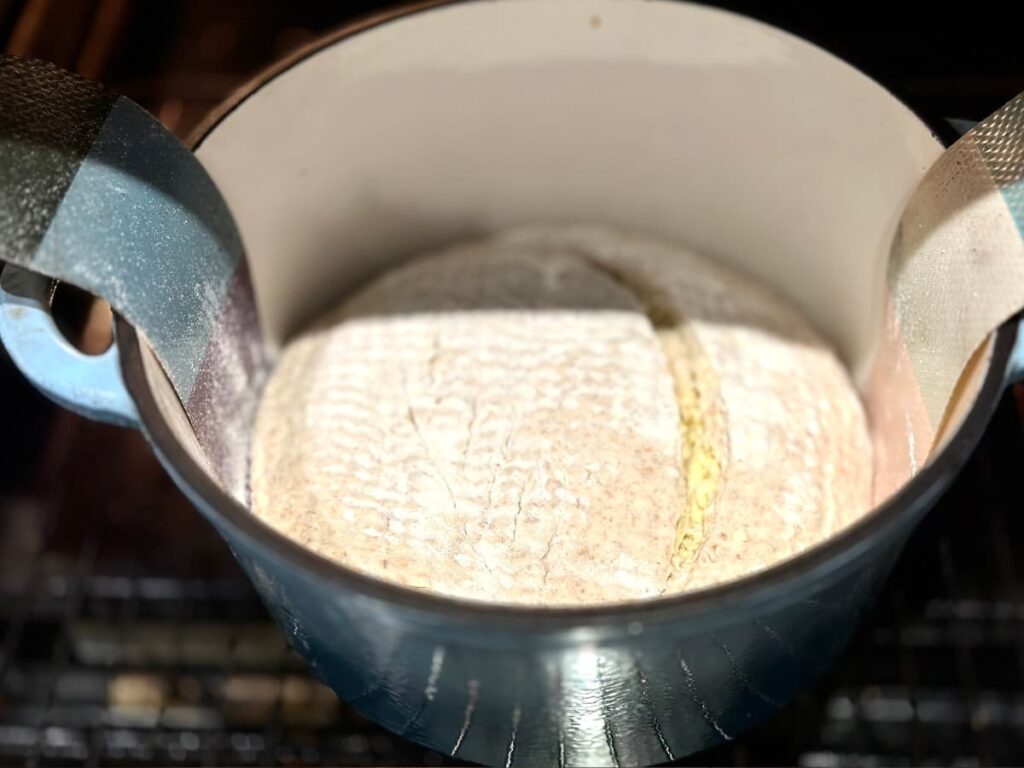 Scored dough in a dutch oven ready for baking