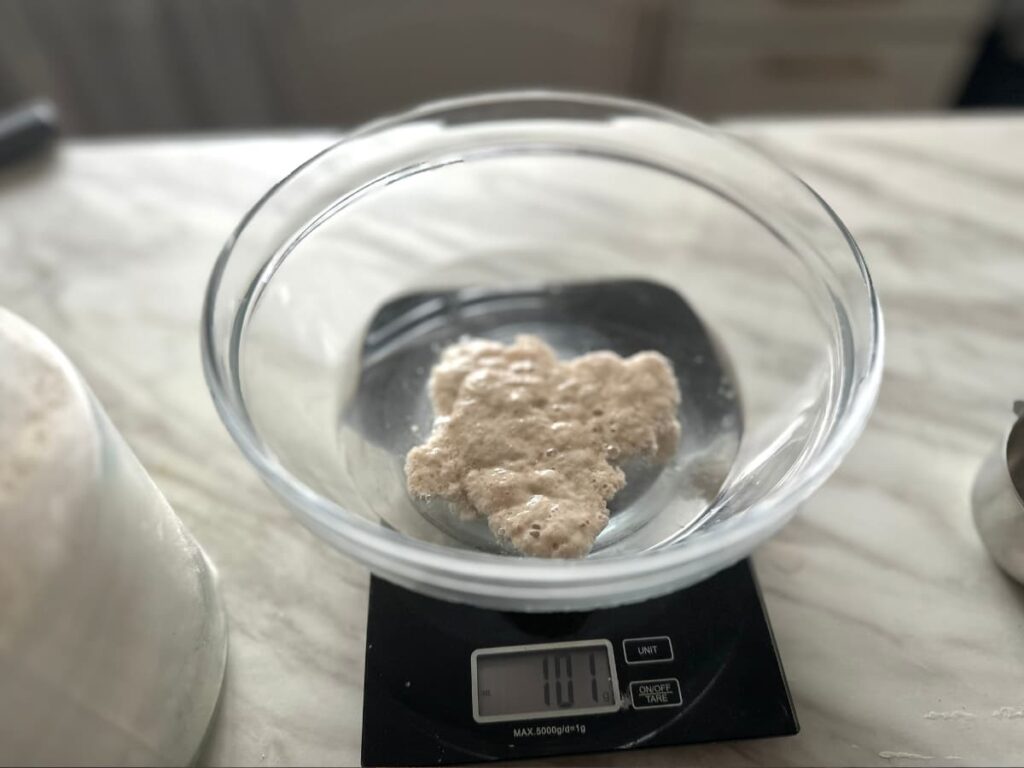 A glass bowl containing water and sourdough starter on a digital scale ready to make cheddar sourdough bread recipe
